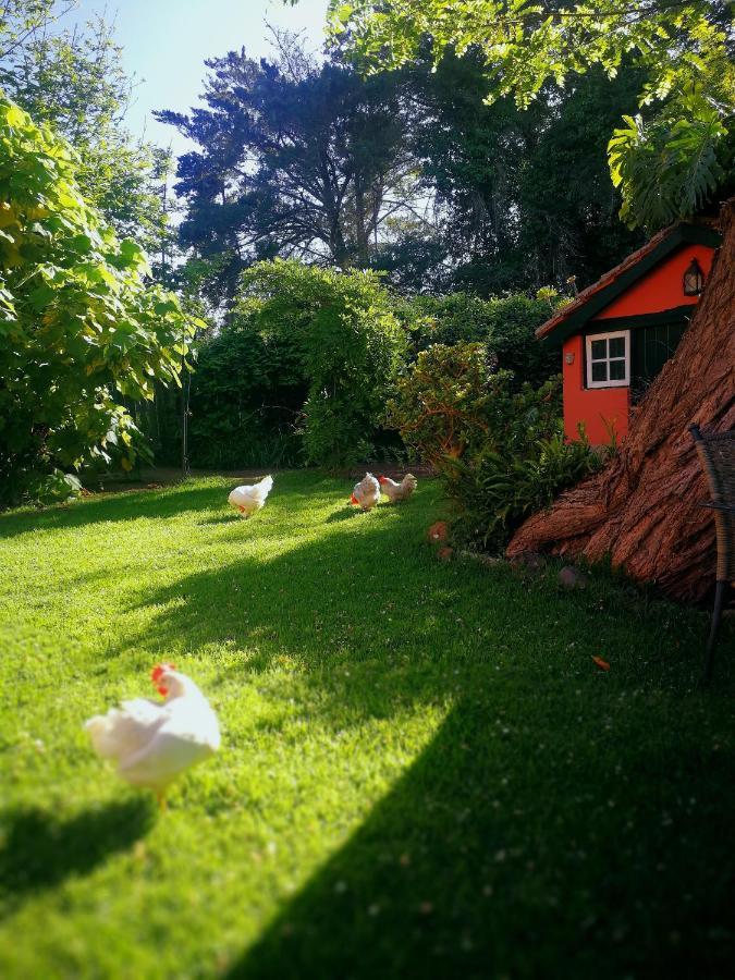 Jardines De Hortensia - Vacation Home Tenerife La Laguna  Eksteriør bilde