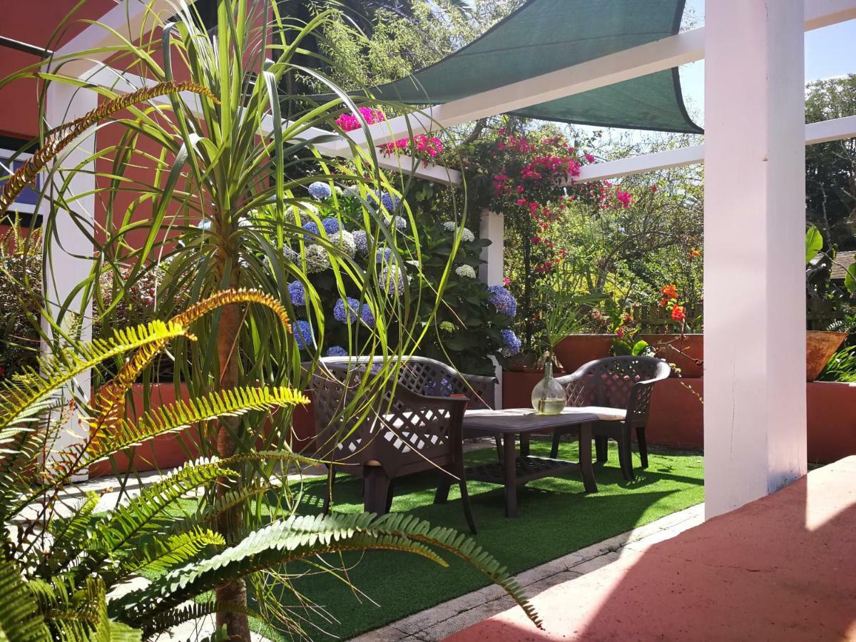 Jardines De Hortensia - Vacation Home Tenerife La Laguna  Eksteriør bilde