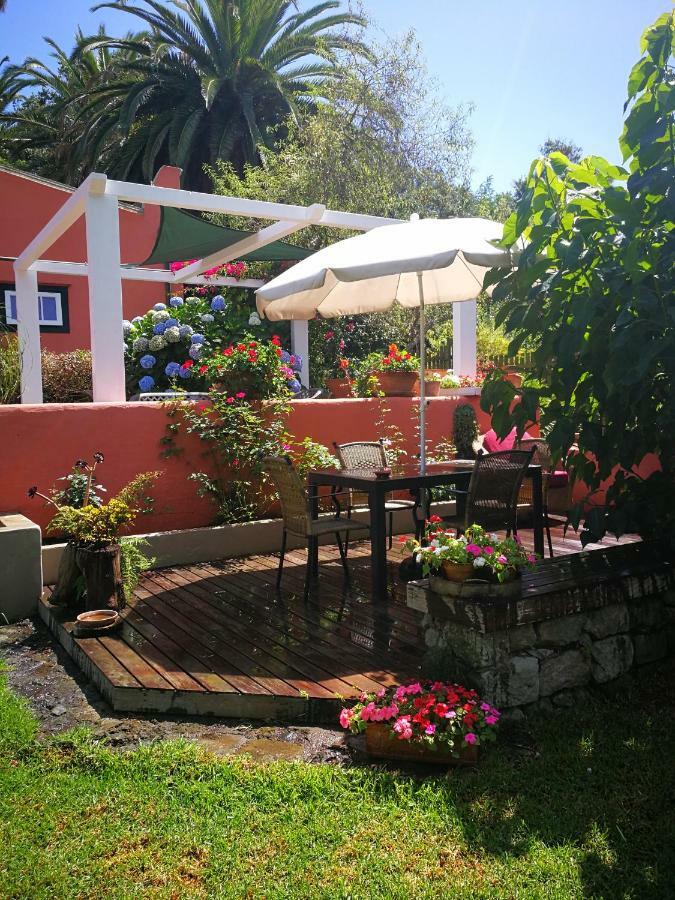 Jardines De Hortensia - Vacation Home Tenerife La Laguna  Eksteriør bilde