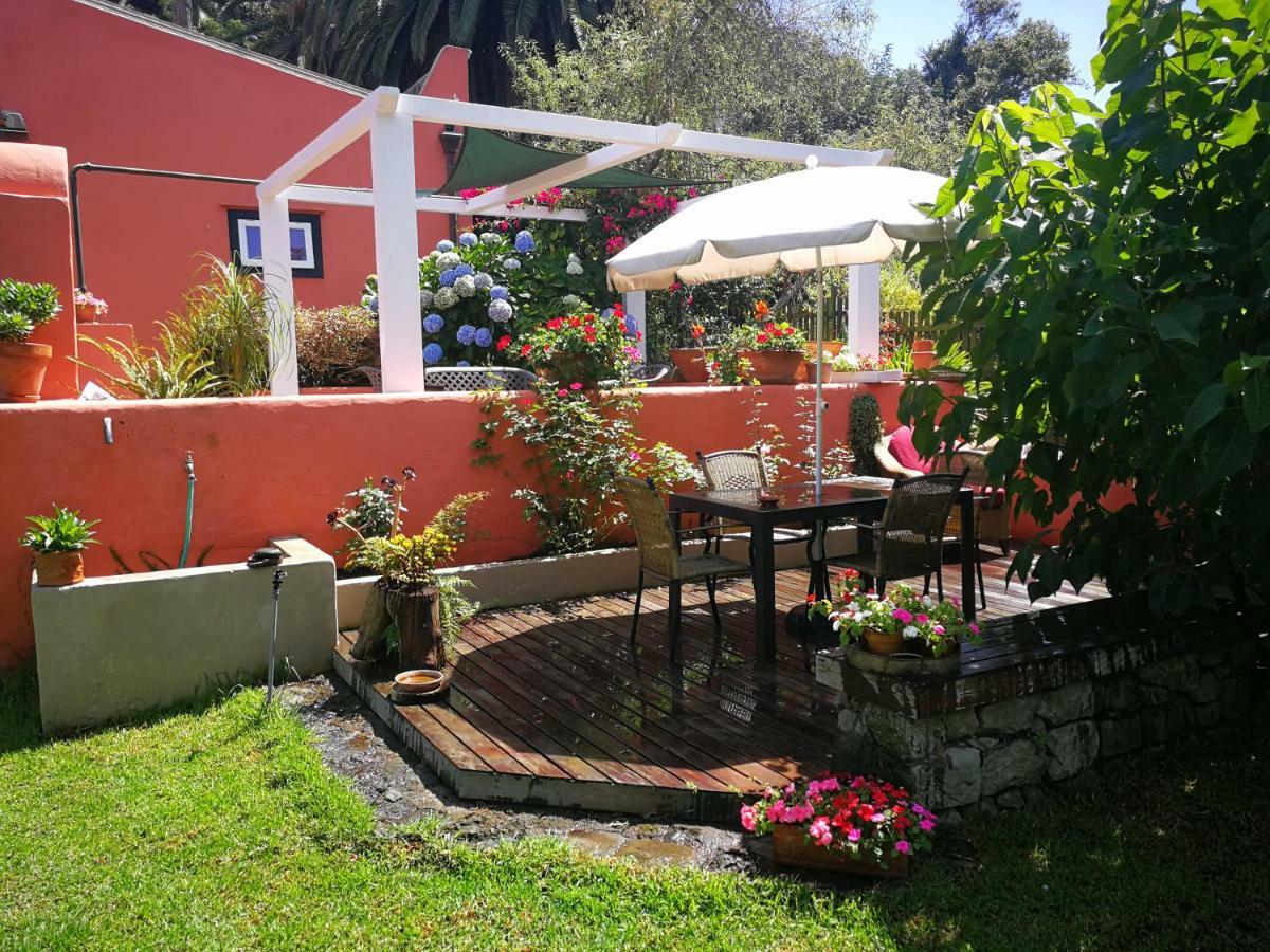 Jardines De Hortensia - Vacation Home Tenerife La Laguna  Eksteriør bilde